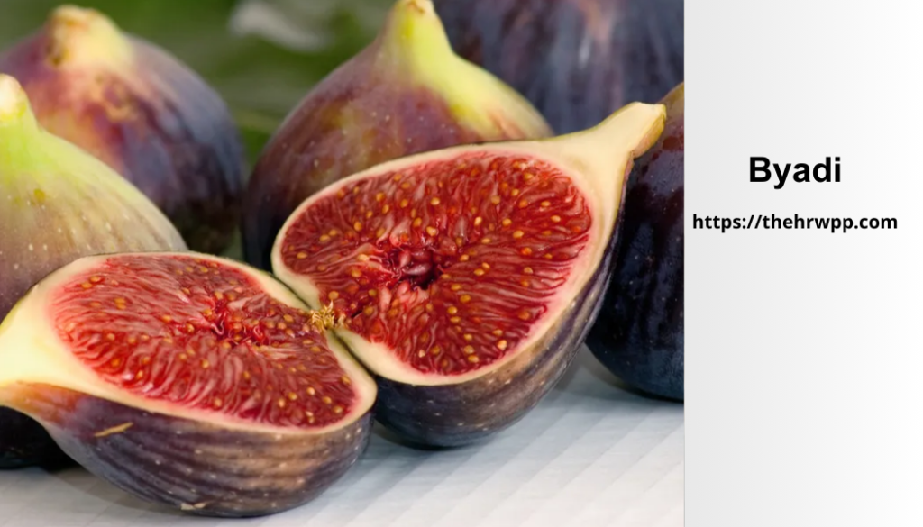 byadi