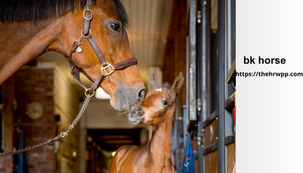 BK Horse: The Complete Guide to Equine Healing, Therapy, and Personal Growth bk horse