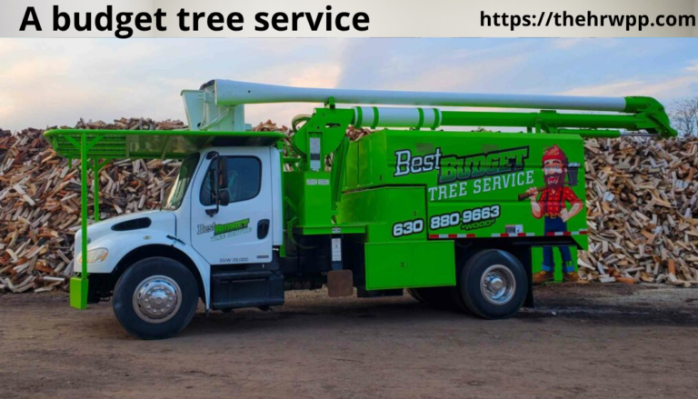 a budget tree service