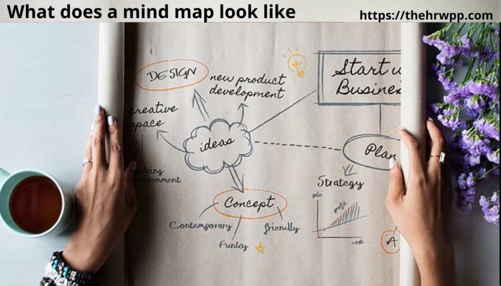 what does a mind map look like