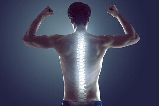 The Role of Nutrition in Spine Health According to Your Back Doctor